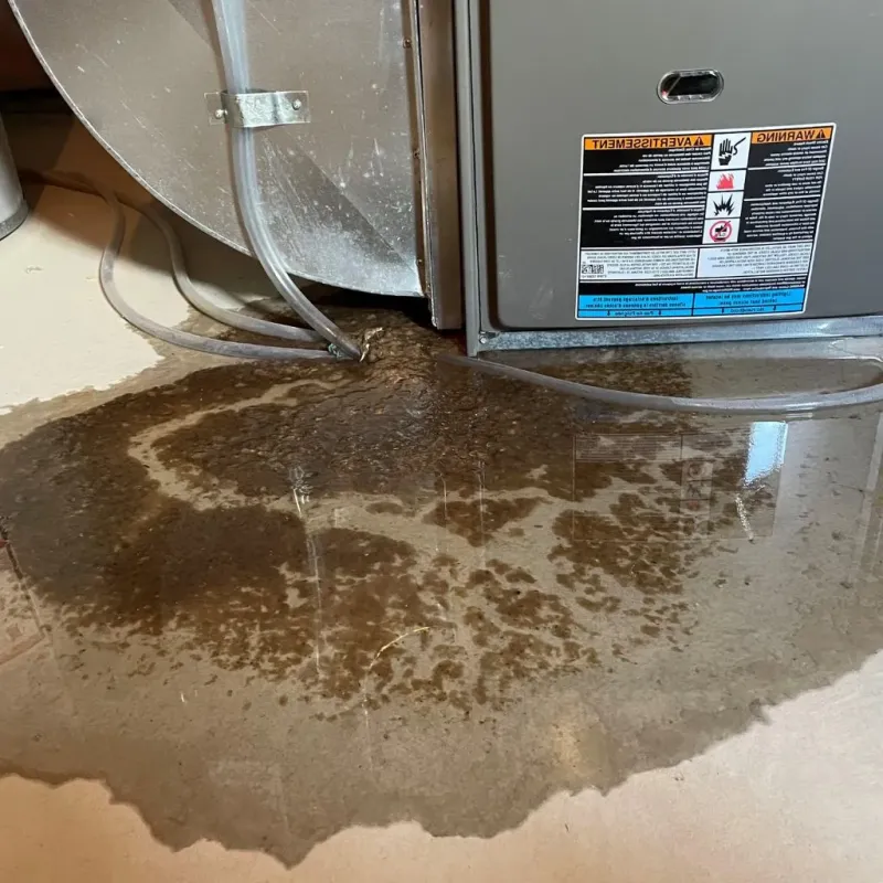 Pipe Burst and Leak Restoration in Connellsville, PA